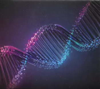 John Holden: Proximity & Chance