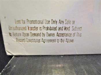 LP John Illsley: Glass