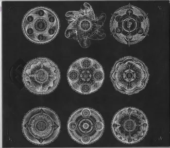 Bill Laswell: Memoria