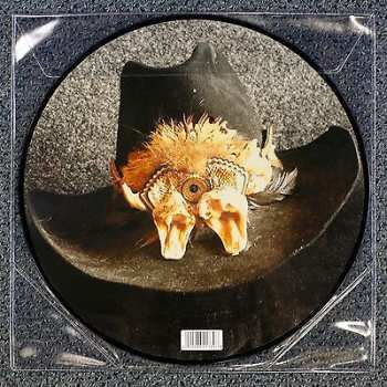 LP Johnny Winter: Step Back LTD | PIC