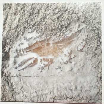 LP Jonathan Kawchuk: Everywhen