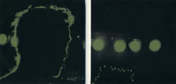 CD Jonathan Richman: No Me Quejo De Mi Estrella