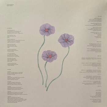 LP José González: Local Valley LTD | CLR