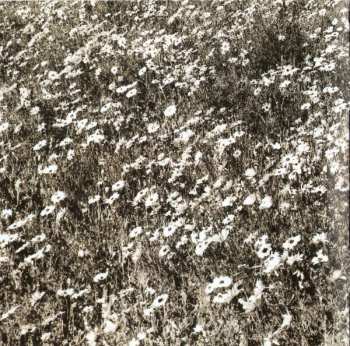 CD Jovanotti: Lorenzo 1997 - L'Albero