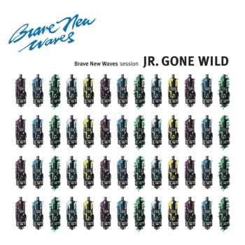 CD Jr. Gone Wild: Brave New Waves Session