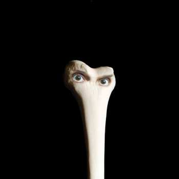 CD Juana Molina: Halo