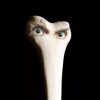 Juana Molina: Halo 