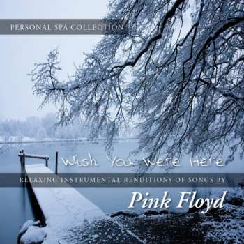 Album Judson Mancebo: Wish You Were Here - Relaxing Instrumental Renditions Of Songs By Pink Floyd