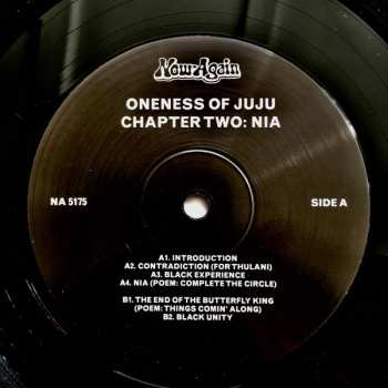 LP Juju: Chapter Two: Nia LTD