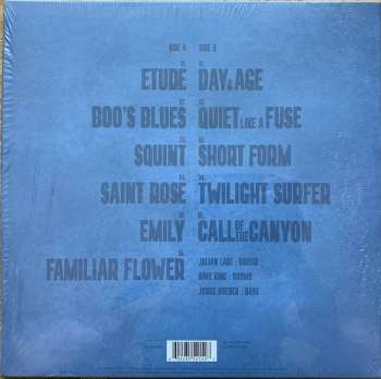 LP Julian Lage: Squint