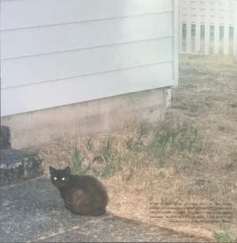 SP julie: Pg​.​4 A Picture Of Three Hedges​/​Through Your Window PIC