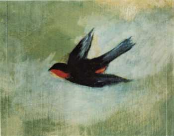 CD Julie Roberts: Men & Mascara