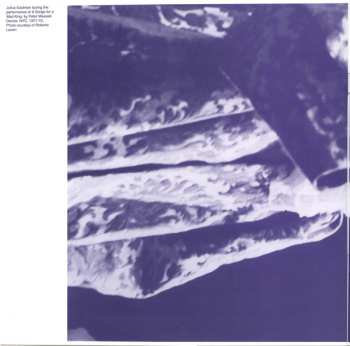 2LP/Doos Julius Eastman: The Nigger Series CLR | LTD