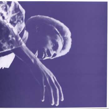 2LP/Doos Julius Eastman: The Nigger Series CLR | LTD