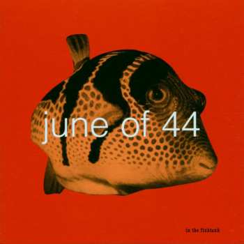 CD June Of 44: In The Fishtank