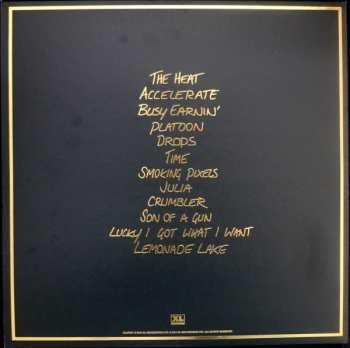 LP Jungle: Jungle 