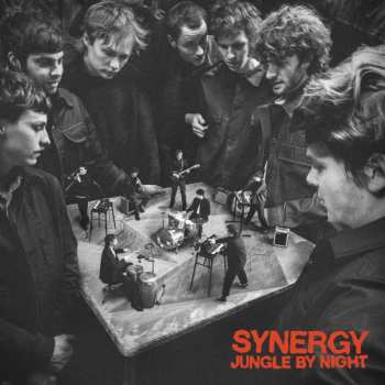 CD Jungle By Night: Synergy