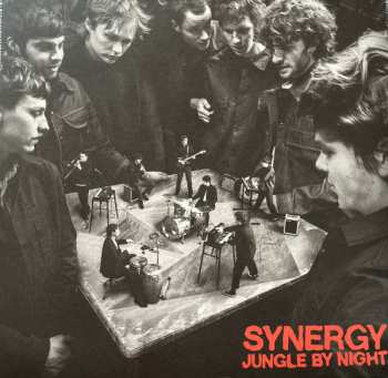 2LP Jungle By Night: Synergy CLR