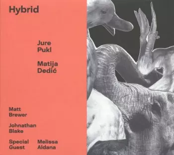 Hybrid