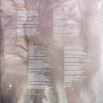 2LP Justin Sullivan: Surrounded