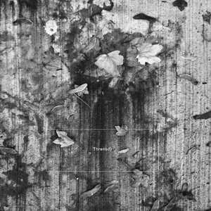 CD K. Leimer: Threnody