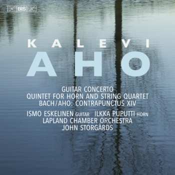 Album John Storgårds: Guitar Concerto / Quintet For Horn /