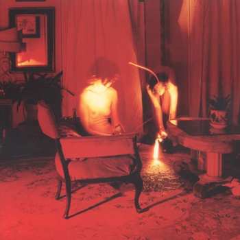 Album Kammerflimmer Kollektief: Cicadidae