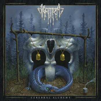 LP Kamra: Cerebral Alchemy CLR | LTD