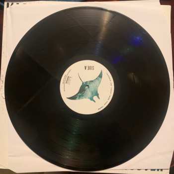 LP Kash'd Out: Undercover