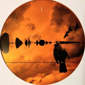 2LP Kate Bush: Aerial CLR | LTD