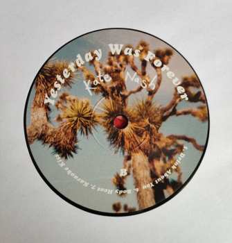 2LP Kate Nash: Yesterday Was Forever