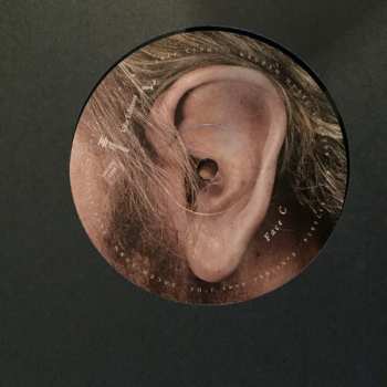 LP Katerine: Confessions