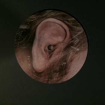 LP Katerine: Confessions