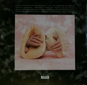 LP Katerine: Confessions