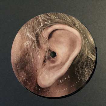 LP Katerine: Confessions