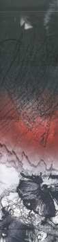LP Kayo Dot: Coyote LTD