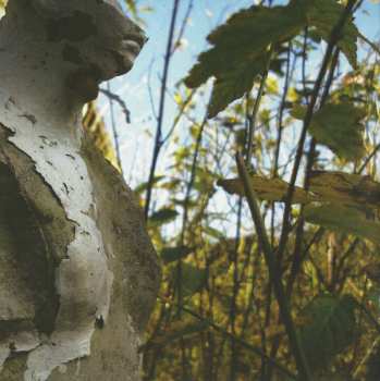 CD Kerbenok: Der Erde Entwachsen (Gewollte Wunden)