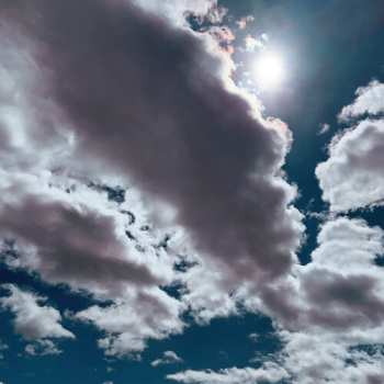 Album Kestrels: Better Wonder