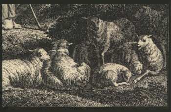 LP Kevin Drumm: Relief