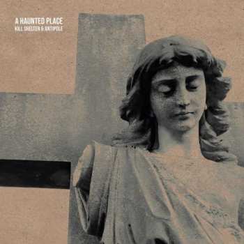 CD Kill Shelter: A Haunted Place