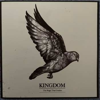 CD Kingdom: The Rage That Guides