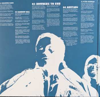 LP Kings Of Leon: Can We Please Have Fun CLR | LTD