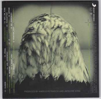 5CD/DVD/Doos Kings Of Leon: The Collection Box