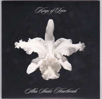 5CD/DVD/Doos Kings Of Leon: The Collection Box