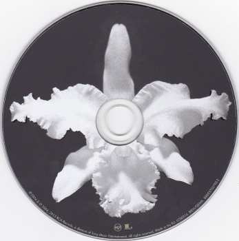5CD/DVD/Doos Kings Of Leon: The Collection Box