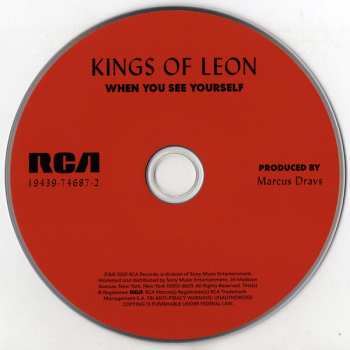 LP Kings Of Leon: When You See Yourself