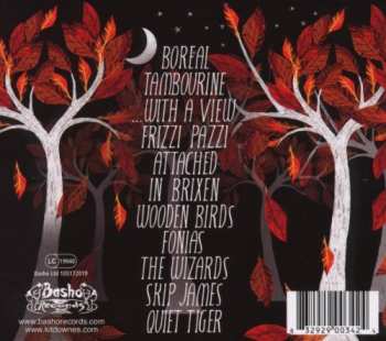 CD Kit Downes Trio: Quiet Tiger