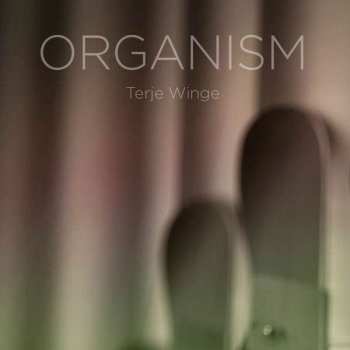 Blu-ray/SACD Terje Winge: Organism