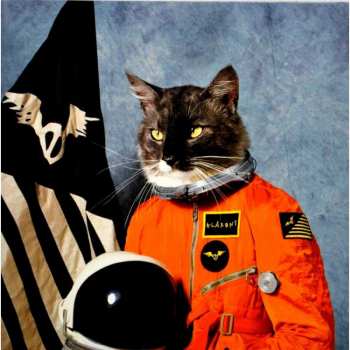 Album Klaxons: Surfing The Void