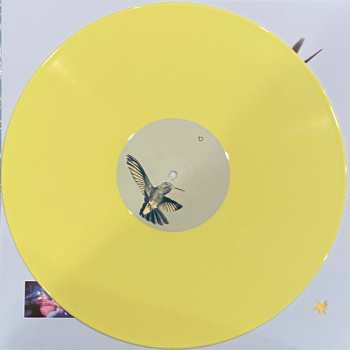 LP Knapsack: This Conversation Is Ending Starting Right Now LTD | CLR